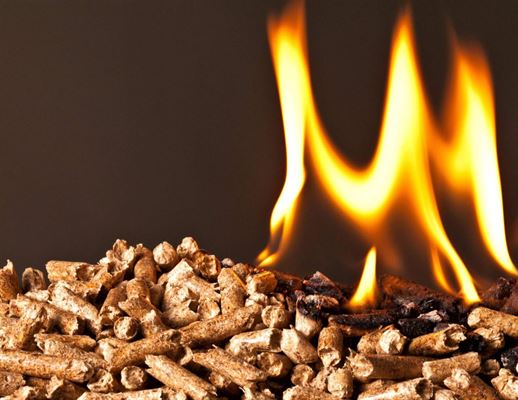 8 mm eller 6 mm træpiller – hvad er forskellen?