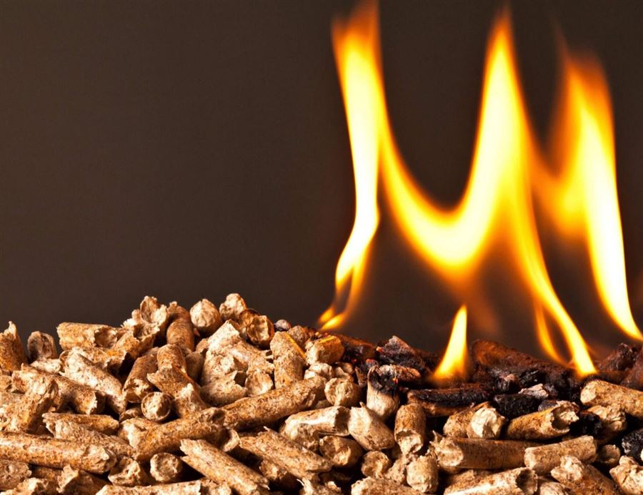 8 mm eller 6 mm træpiller – hvad er forskellen?