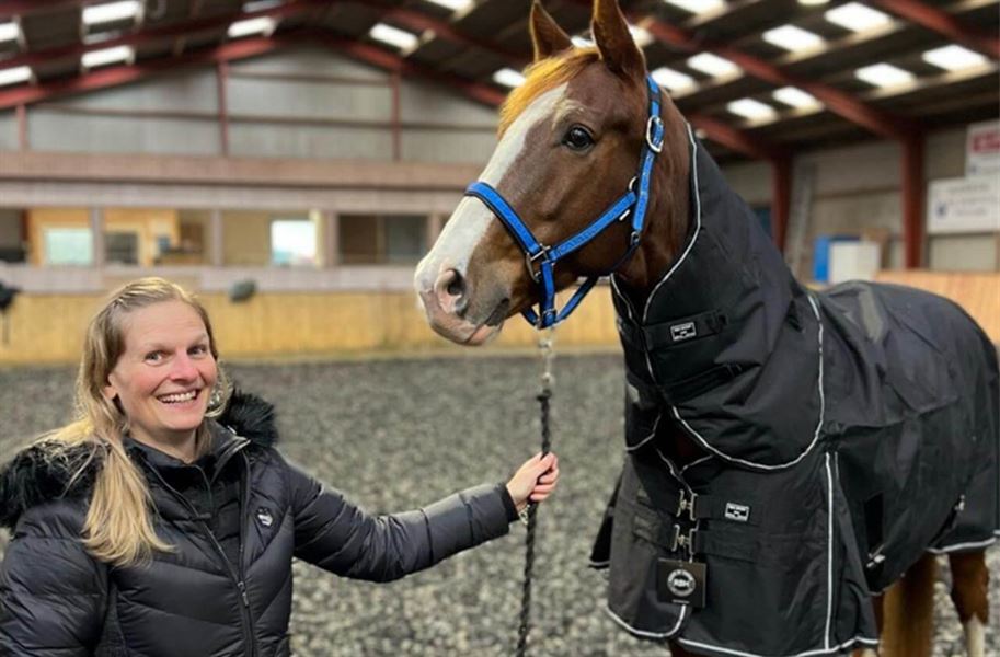 Hvilket dækken skal du vælge til din hest ?