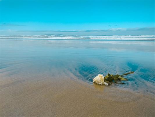 Hvornår kontakter man en begravelsesforretning?