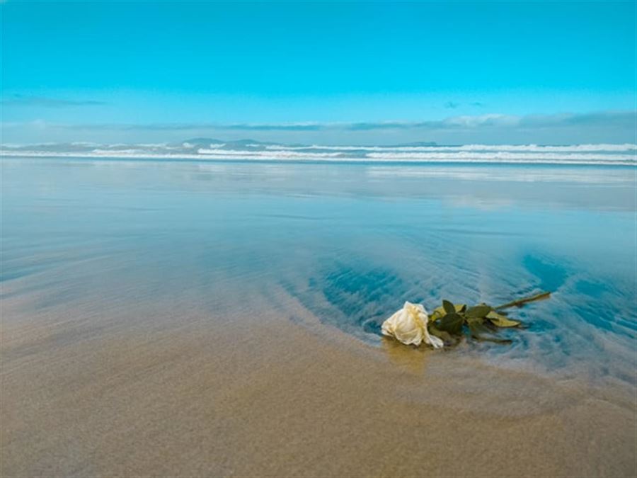 Hvornår kontakter man en begravelsesforretning?