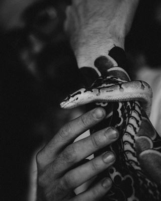 Introduktion til armtatovering