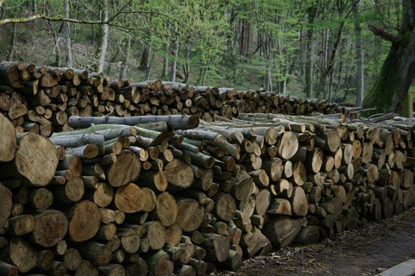 Træbriketter - den effektive og miljøvenlige varmekilde